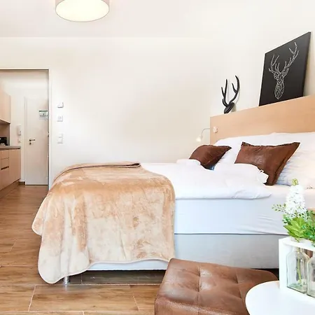 Alpinlodge Appartement