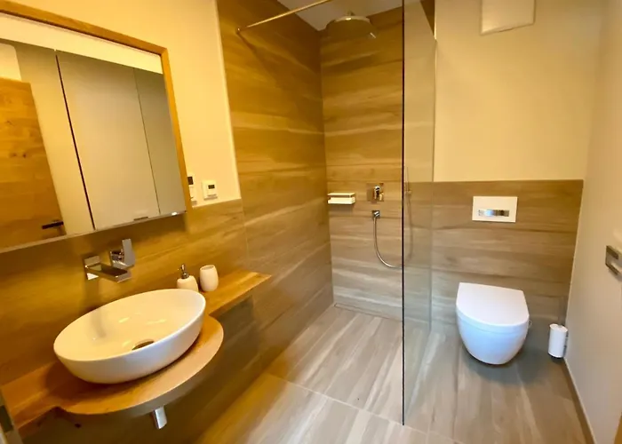 Apartment Alpinlodge Flachau